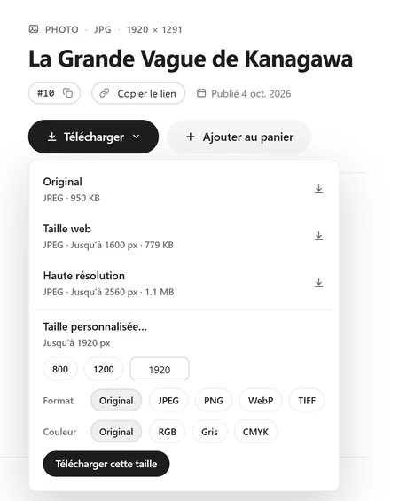 Capture du portail : le menu de téléchargement de La Grande Vague de Kanagawa, avec l'original, la taille web, la haute résolution, une taille personnalisée, le format et la couleur